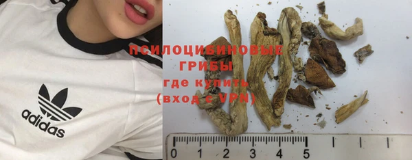 тгк Лагань