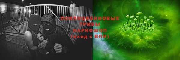 дурь Ладушкин