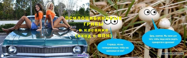 тгк Лагань