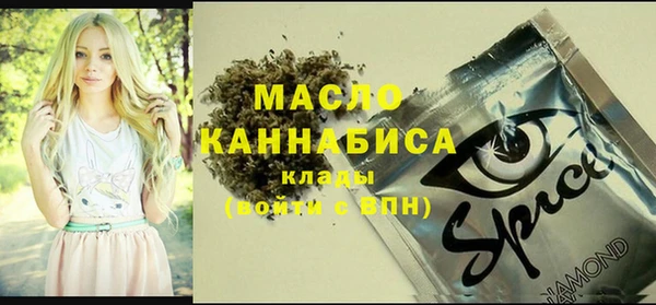 тгк Лагань