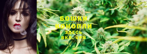 дурь Ладушкин