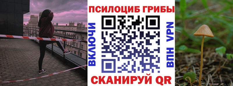 купить наркотик  Сочи  Псилоцибиновые грибы GOLDEN TEACHER 